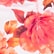 Romantic Flowers