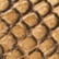 color: Camel & Gold