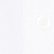 color: Salt White