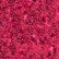 color: Pink Sequin