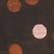 color: Stamped Dot Black