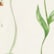 color: Flora Trail Ivory