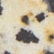 color: Speckle