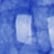 Cornflower