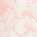 Alexander Study Peach