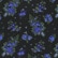 Black & Blue