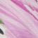 color: White