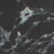 color: Black Multi