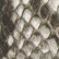 Ivory Brown Snake, Black Croco, & Silver