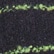 color: Navy & Green