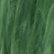 Moss