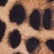 color: Dk Leopard