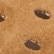 color: Light Brown