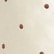 color: Creme & Walnut Polka Dots