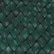 color: Forest
