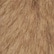 color: Beige