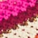 color: Berry