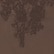 color: Chocolate Brown