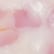 Rose Shell
