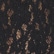 color: Black