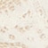 Linen Beige