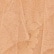 Warm Taupe
