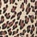 color: Baby Leopard