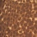 color: Vintage Cheetah