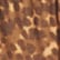 color: Vintage Cheetah