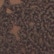 color: Daisy Lynn