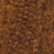 color: Coffee