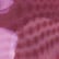 color: Violet Siren Combo