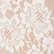color: White Aslyum
