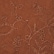 color: Chocolate