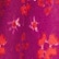 color: Dragonfruit Combo