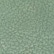 color: Secret Sage