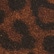 color: Leopard