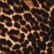 color: mini lucky leopard