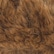 color: Lark