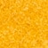 color: Sun & Off White & Gum