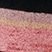 Neapolitan