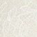 color: White
