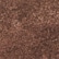 color: Chocolate