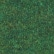 color: Meadow