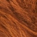 color: Chestnut