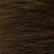 color: Chocolate