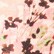 color: Pink Botanical