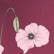 color: Mauve Poppy