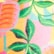color: Havana Haven