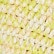 Citron & White